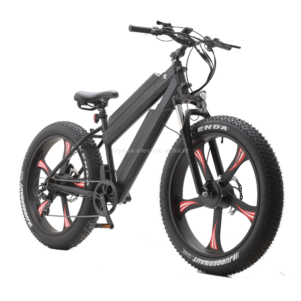 Sepeda Listrik EM 02WD